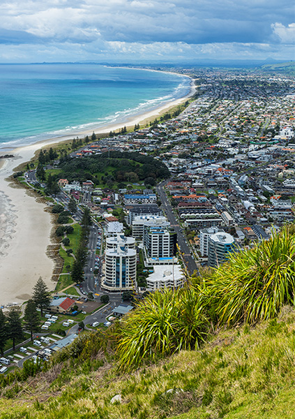 Royal Wolf Tauranga